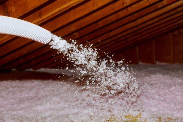 Best Insulation Maintenance and Repair in Childersburg, AL